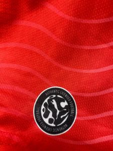 Puma Embroidered Portugal CR7 #7 Home Kit ❤️‍🩹