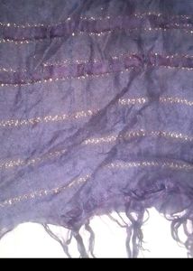 Sparkly Striped Scarf dupatta