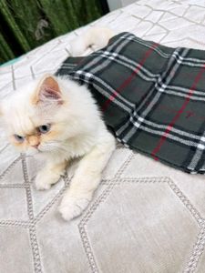 Burberry Classic Check Scarf