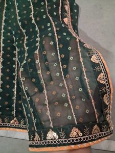 Green &amp; Gold Ethnic  saree with stitched blouse Se
