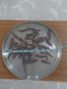 Food SunDrying Net Mesh Plate &amp; Thali cover