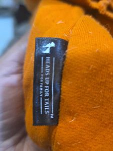 Orange Dog Hoodie