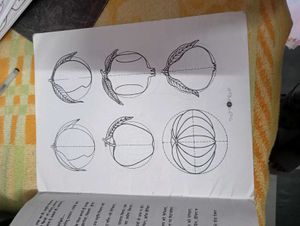 Smriti Chitran - Class 10 Textbook