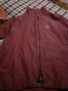 Stylish Maroon Jacket for Men