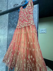 Baby Pink Golden Gown