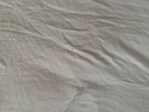 Ralph Lauren Polo Shirt