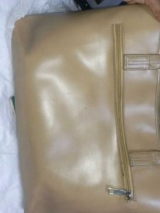 LAST offer Baggit Elegant Beige Tote Bag