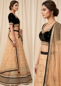 Elegant Black Velvet Blouse &amp; Beige Net Lehenga