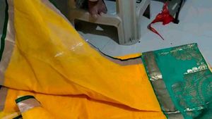 gorgeous saree💛