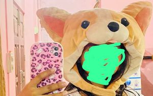 Cute Dog Hooded Plush Costume