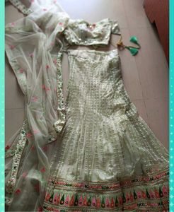 Elegant Pastel Lehenga Choli
