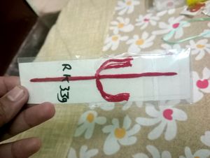 Bro Rakhi