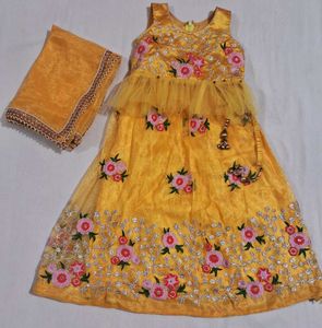 Yellow Embroidered Lehenga Choli