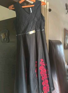 Beautiful Net Flared Dress.