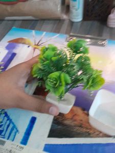 Green Artificial Plant