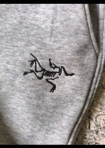 Men's Grey Arc'teryx Sweatpants