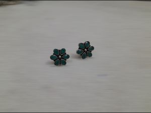 Sliver Polish Light Weight Matte Finish Earning