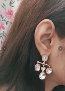 Exquisite Crystal Drop Earrings