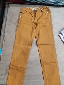 Stylish Mustard Color Pants