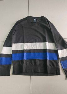 Men's Grey Striped Sweatshirt