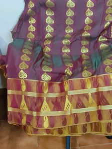 Leaf Print Saree