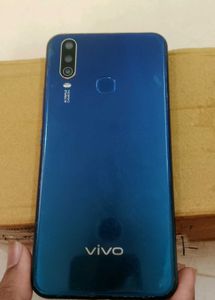 Vivoy12