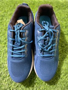 Campus Shoes Box