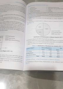 Indian Economic Development Class XII Book