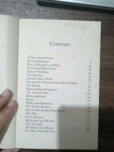 Roald Dahl The Witches Book