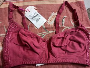 Maroon Bra Offer Today 50%
