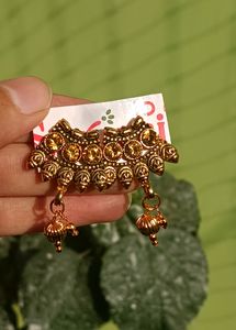 Beautiful Golden Earnings