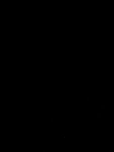 Fg