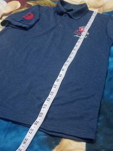 Men's Blue Polo T-Shirt