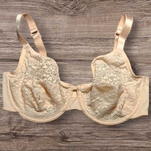 Esmara Beautiful Lace Nonpadded Underwired Bra
