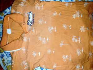 Hawaii Paradise Island Graphic Shirt