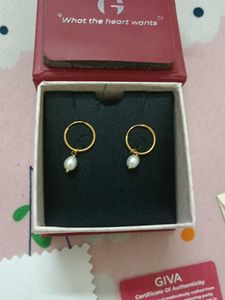 Golden Pearl Drop Hoop Earrings