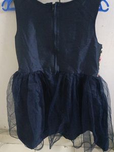 Beautiful Net With Embroidery Design Dress 10-12Y