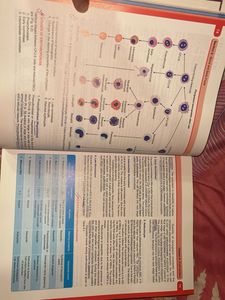 Medical Physiology Textbook - Eighth Edition