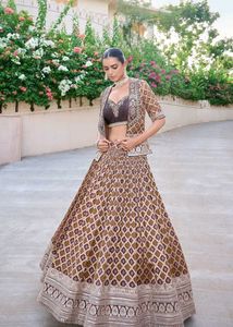 Embroidered Lehenga Choli Set