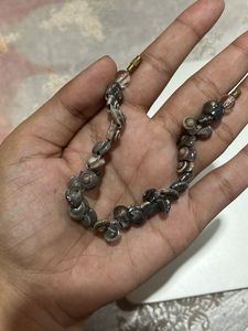 Unique Shell Bracelet