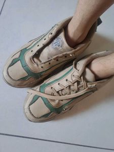 Men's Beige &amp; Teal Sneakers