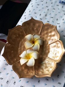 Golden Urli