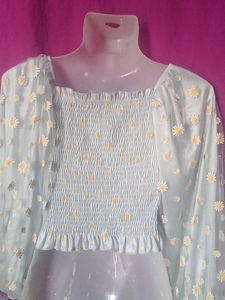 Daisy Sheer Sleeve Top
