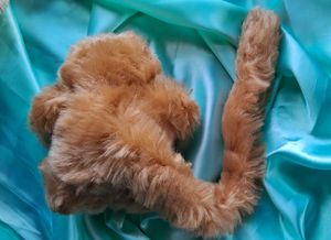 Cute Monkey Plush Toy