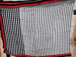 Elegant Black &amp; White Checkered Saree