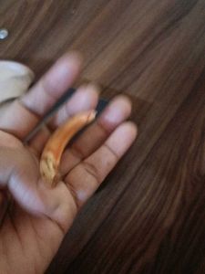 Unique Tusk boar teeth