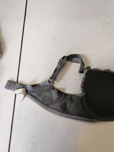 Lace Padded Bra
