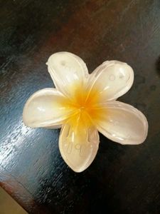 Floral Hair Claw Clips (Set of 3)
