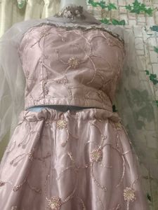 Fishcut  Lehenga Choli