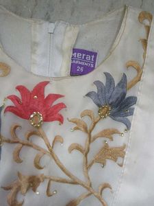 Girls Embroidered Party Dress